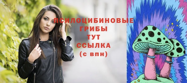 стаф Белоозёрский