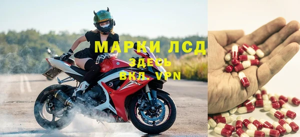 стаф Белоозёрский
